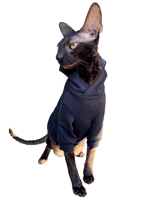 Foto 2 de 6 de Kotomoda Sphynx - Sudadera con capucha para gato desnudo, color negro