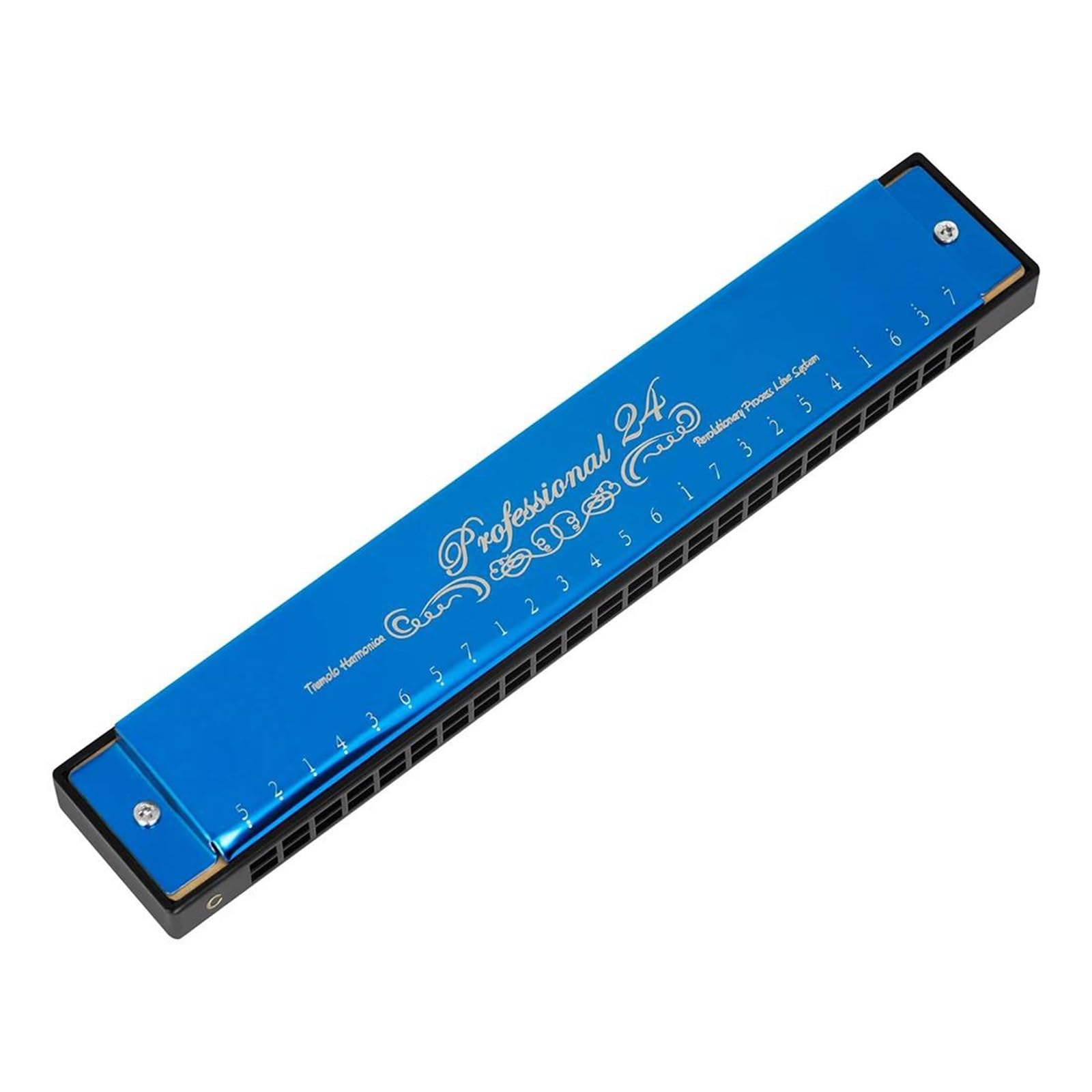 Armonica Armonica A Bocca Professionale A 24 Fori Con Custodia Per Principianti Strumento A Fiato Armonica A Bocca(Blue)
