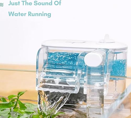 Miniatura 5 de Kit de iniciación para pecera, tanque de vidrio para acuario de 1.2 galones, LWH  6.3 x 6.3 x 8.6 pulgadas, filtro Slient de 60 GPH y lámpara LED de