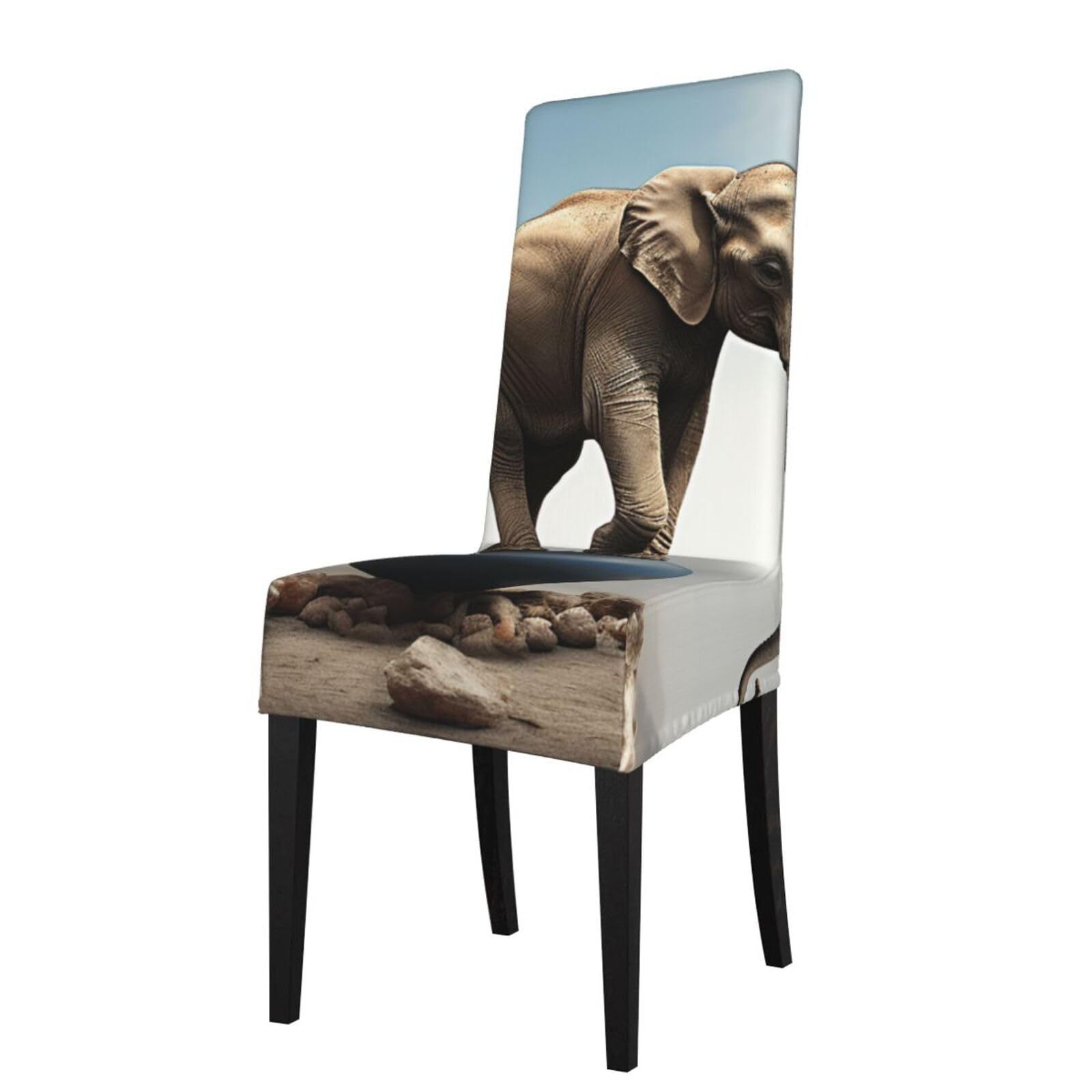 FodPand Stretch Chair Covers for Dining Room, Elephant Balancing On Ball Chair Seat Covers Washable Detachable Chair Slipcover Chair Protectors Covers for Kitchen,Wedding,Party