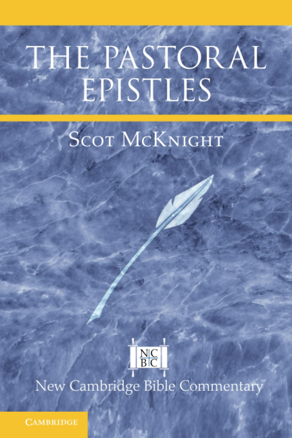 The Pastoral Epistles (New Cambridge Bible Commentary)