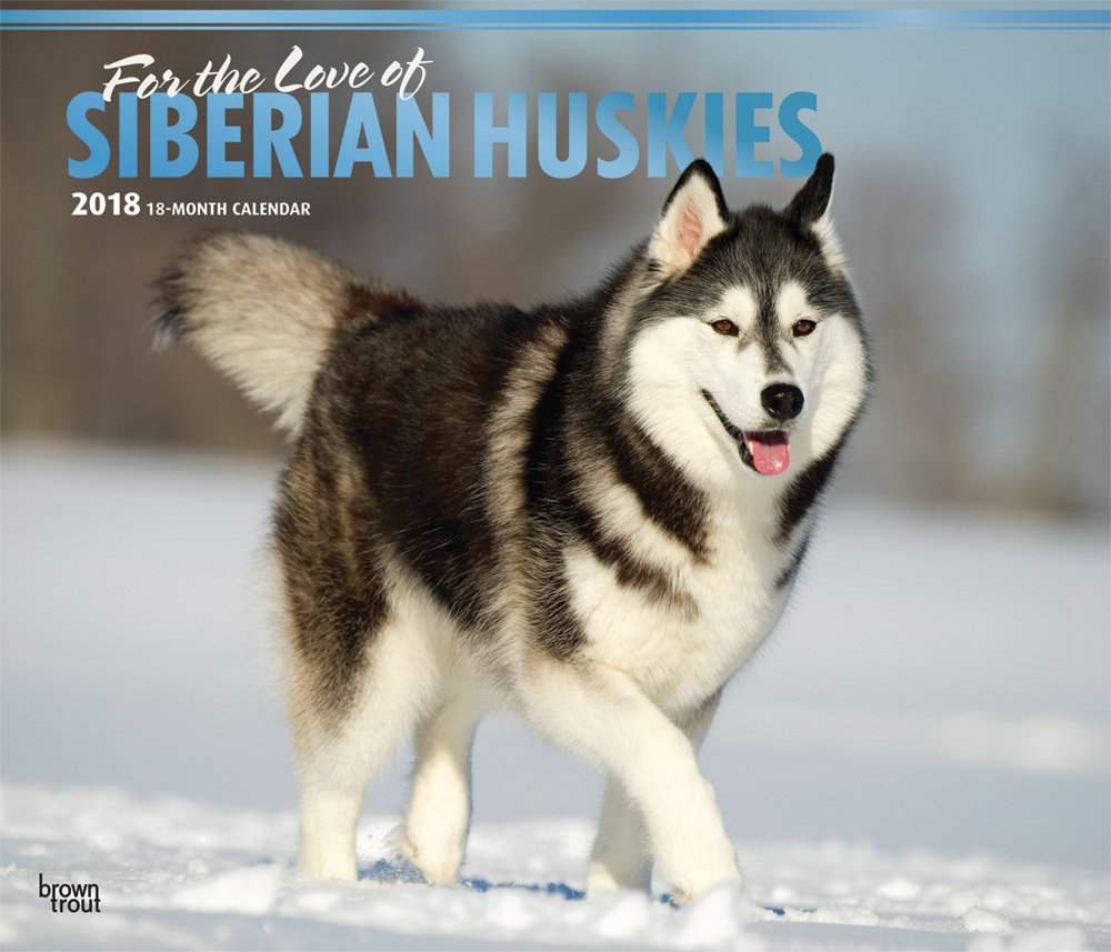 For the Love of Siberian Huskies 2018 Calendar Calendar – Wall Calendar, June 1, 2017