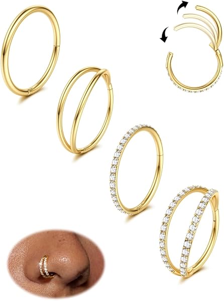 Dochais 4PCS 18G Piercing Nez Anneaux, Boucles d'Oreilles en Acier Chirurgical Piercing Tragus Septum Anneau Clicker CZ, Anneau Segment Conch Lèvre Cartilage Double 8mm 10mm pour Femmes Hommes - 1