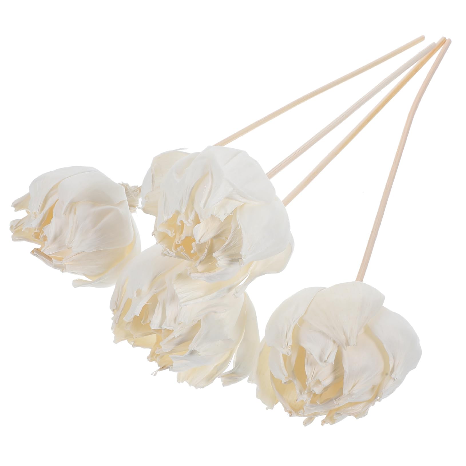 Alipis 20pezzi Diffusore Con Fiori Secchi Naturali Elegante Decorazione Per Ambienti Per Casa e Bagno