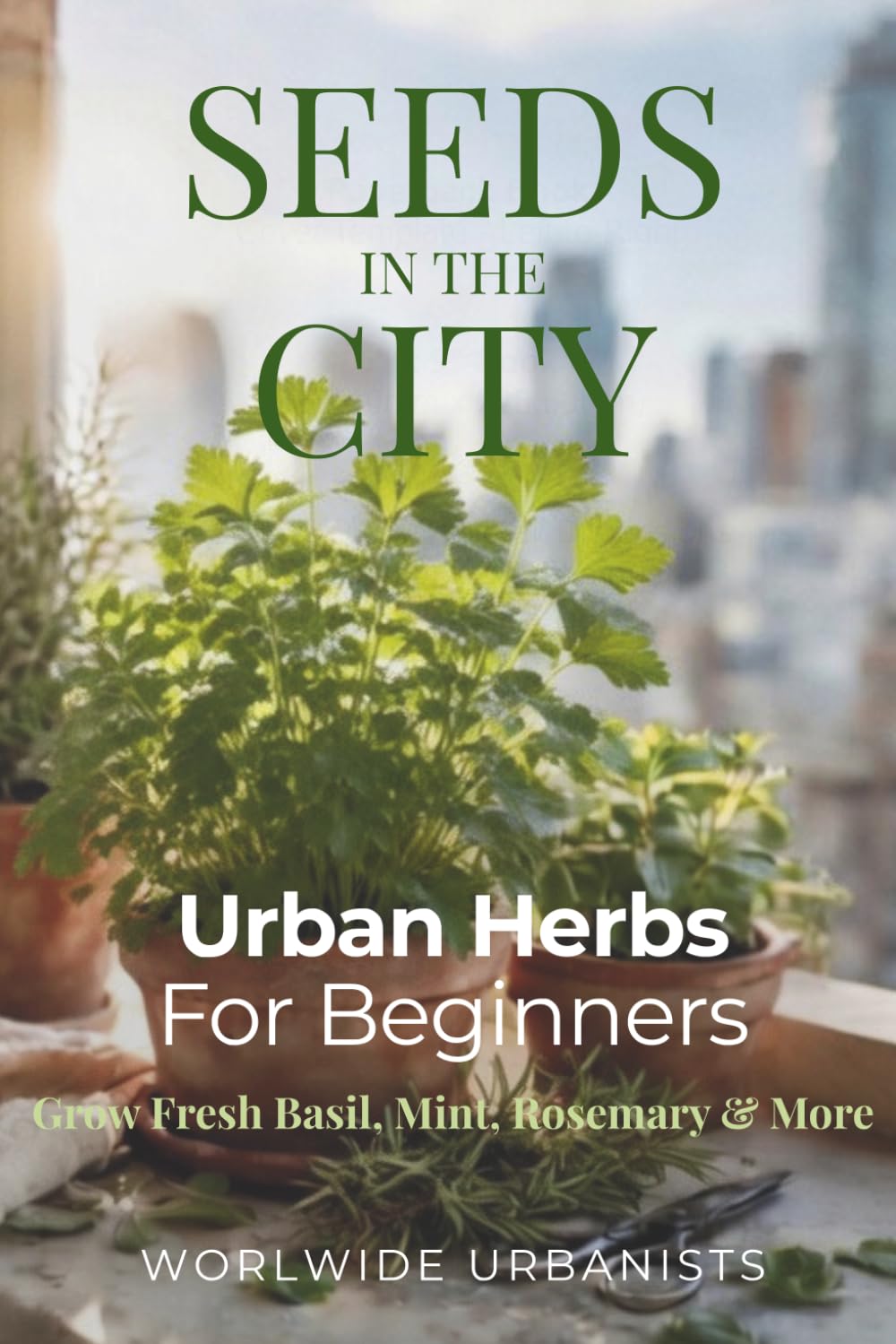 Seeds In The City: Urban Herbs For Beginners