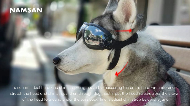 NAMSAN Dog Goggles Medium to Large Dog UV Sunglasses Windproof Anti-Dust Antifog Pet Dog Glasses Outdoor Protection… - Image 8