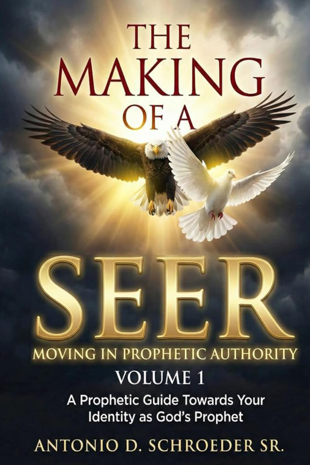 The Making Of A Seer Volume 1 (THE MAKINGS OF A SEER SERIES)