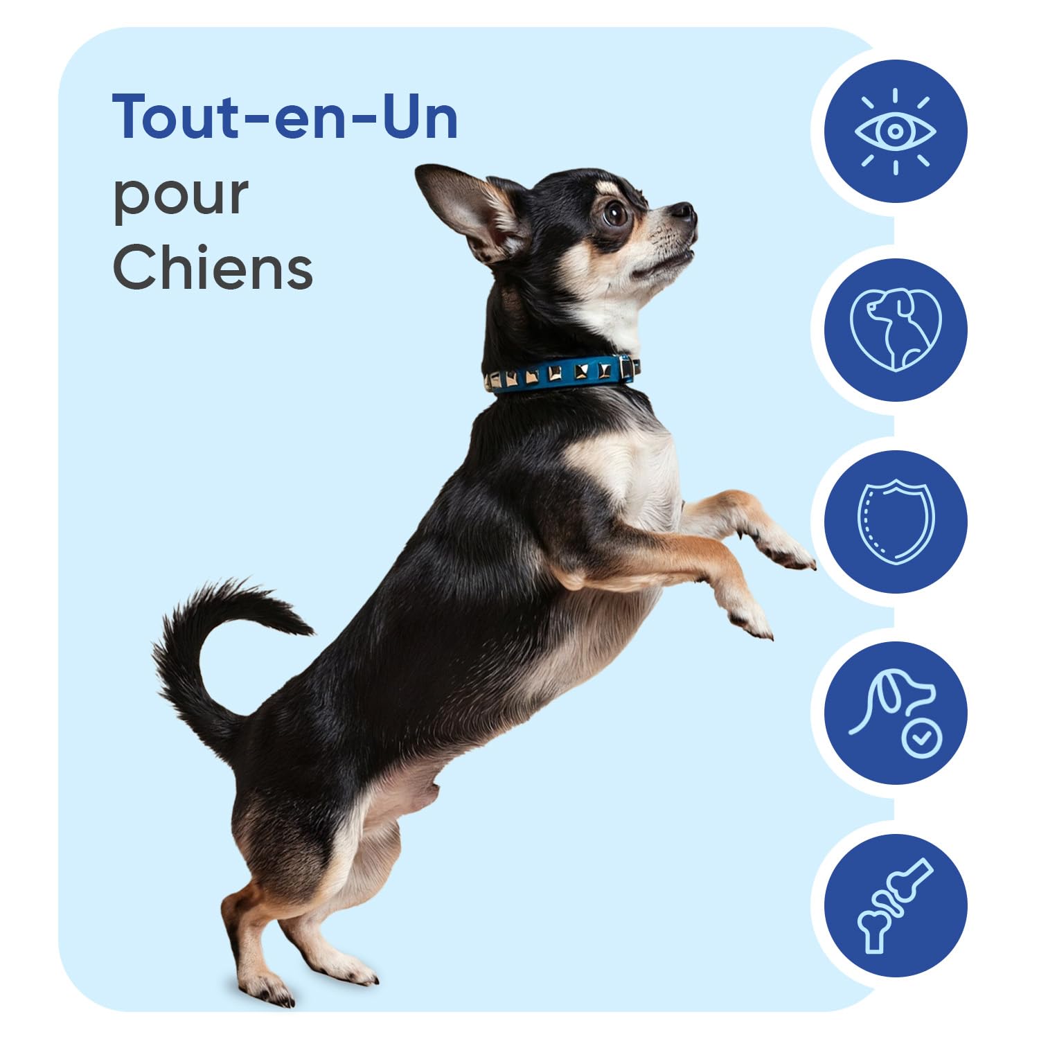 Multivitamines et Minéraux Chien 365 Comprimés - 12 Vitamine pour Chien avec 6 Minéraux, Goût Poulet - Vitamine C, D, B, A, E, Calcium, Fer, Zinc, Cuivre, Sodium, Iode - pour Toutes Tailles et Races