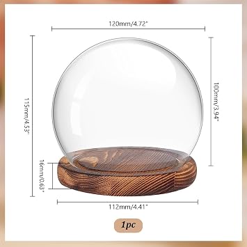 PH PandaHall Glass Cloche Dome Clear Globe Display Dome with Wood Base Decorative Glass Display Case for Plant Flower Stone Models Butterfly Display Home Party Decoration 4.7x4.5inch
