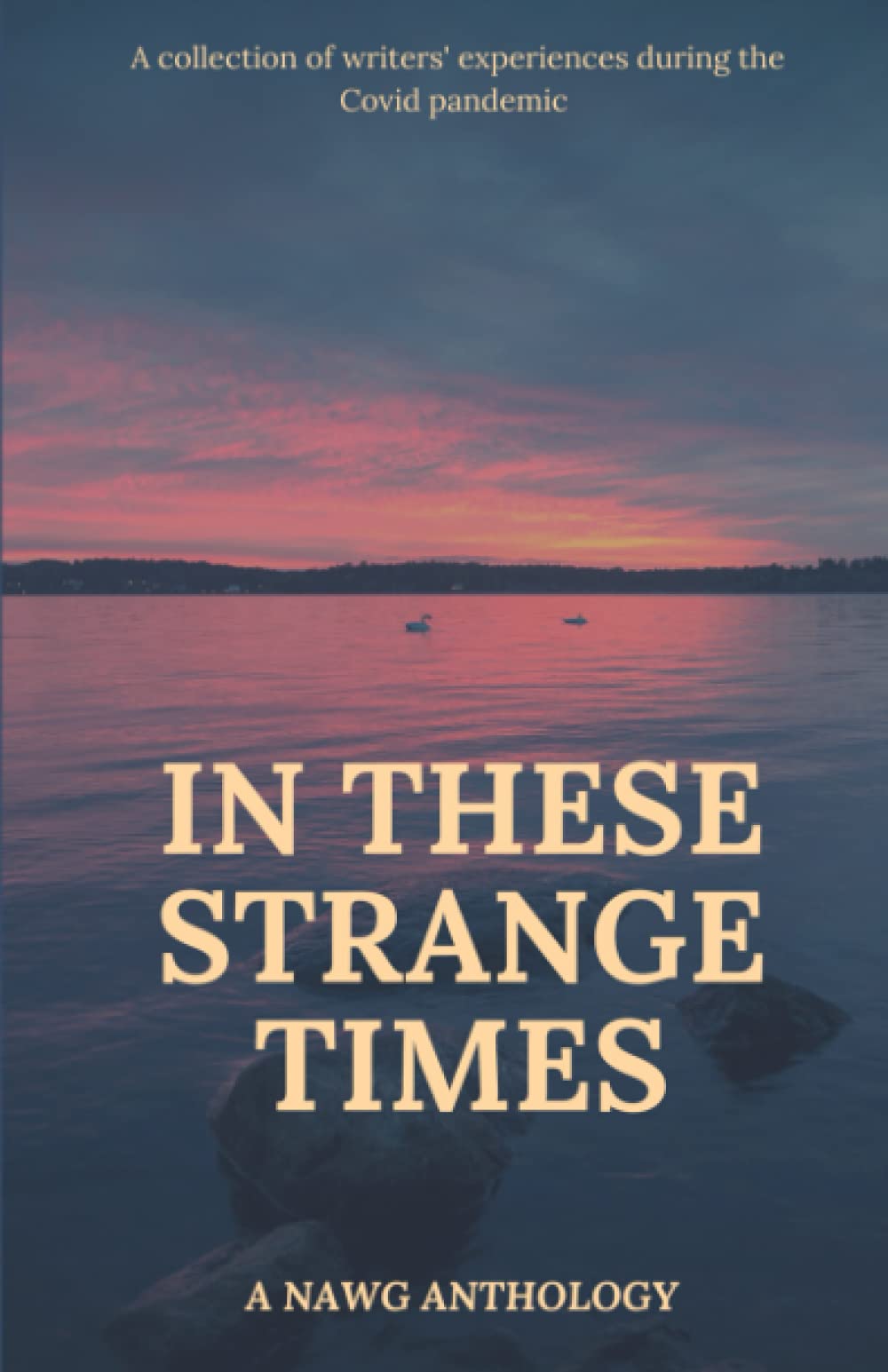 In These Strange Times: An anthology of twenty-six Covid-inspired pieces of poetry and prose.