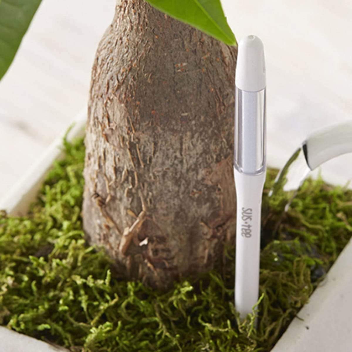 IPPINKA Sustee Aquameter Set de 4, sensor de humedad de suelo para plantas, (blanco, grande, recargable)