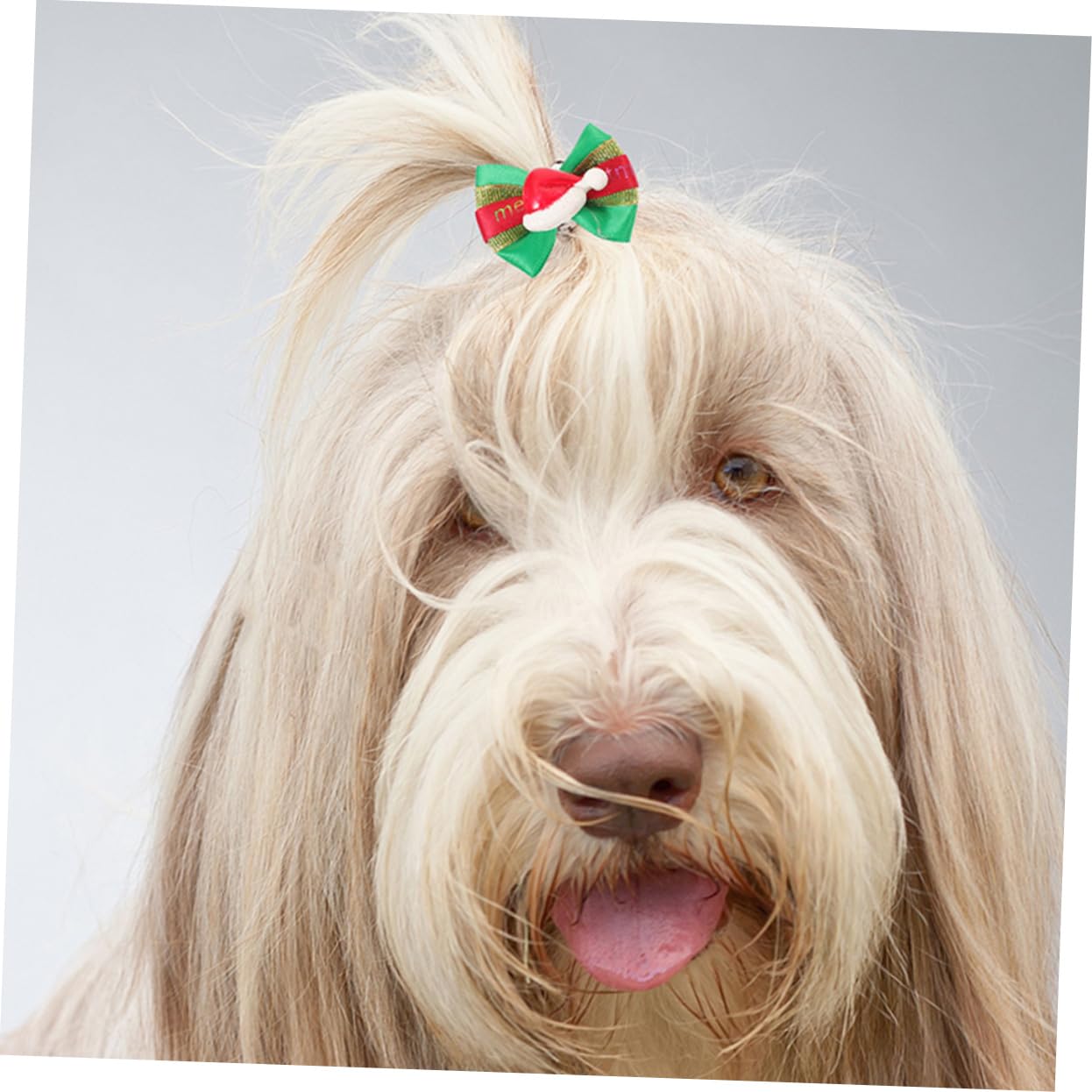 Amazon | Mipcase クリスマス 犬 ヘア リボン 20個 犬 ちょんまげ