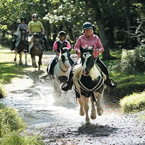 Red Letter Days Ultimate Moments Gift Voucher  945 memorable UK experiences