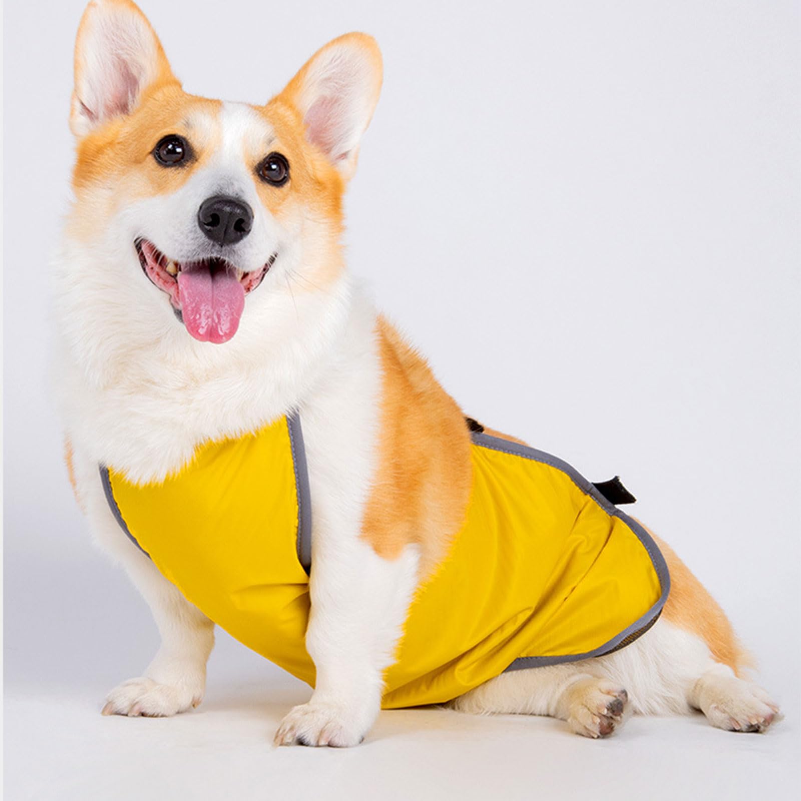 Elastici per la pancia del cane, permeabili, lavabili e regolabili, per cani di piccola e grande taglia