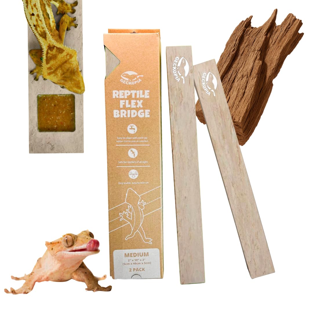 GECKOPIA Reptile Flex Bridge Large (Plain Wood, 18 Inch Long)