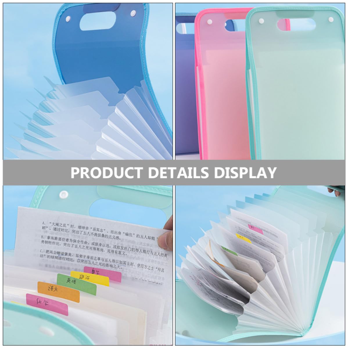 4 Pezzi Cartelline Scuola a Organizer Documenti Plastico