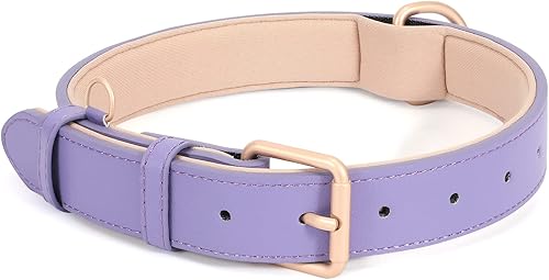 WHIPPY Collar de cuero para perro pequeño, mediano y grande, ajustable, suave, transpirable, acolchado, de cuero con hebilla de aleación, resistente