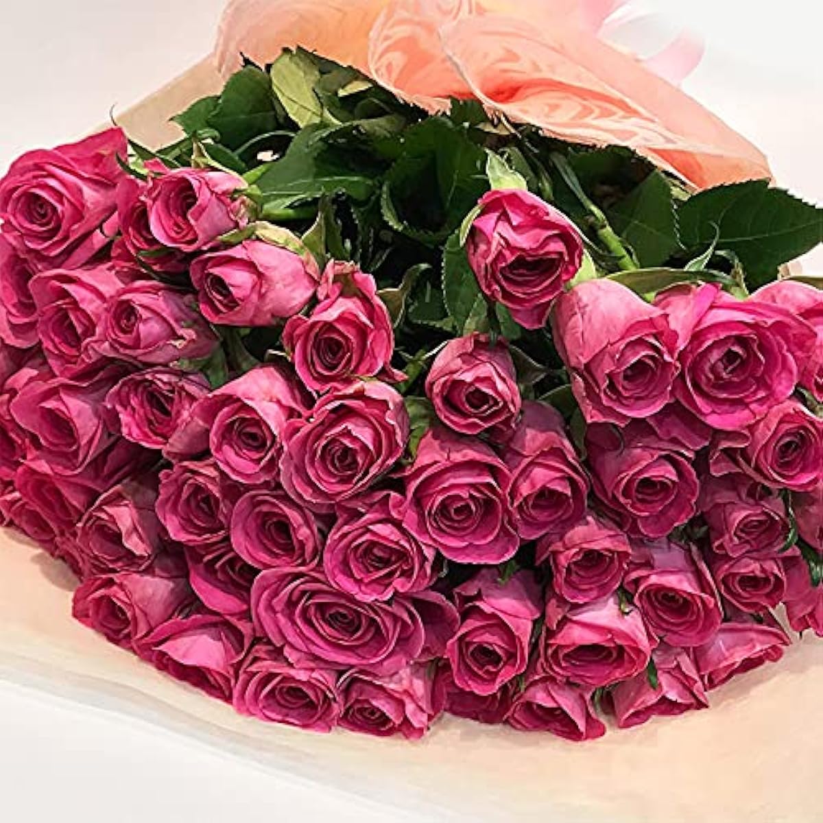 日本正規品取扱店 ピンクバラ50本の花束 送料込 プレゼント お祝い 記念日 ギフト 税込 還暦 プロポーズ 誕生日 卒業 退職 生花 贈答 Tokyoflower 花束 通販 秋冬新作 Www Civilittee Hu Com 日本正規品取扱店 ピンクバラ50本の花束 送料込 プレゼント お祝い 記念日 ギフト 税込 還暦 プロポーズ 誕生日 卒業 退職 生花 贈答 Tokyoflower 花束 通販 秋冬新作 Www Civilittee Hu Com