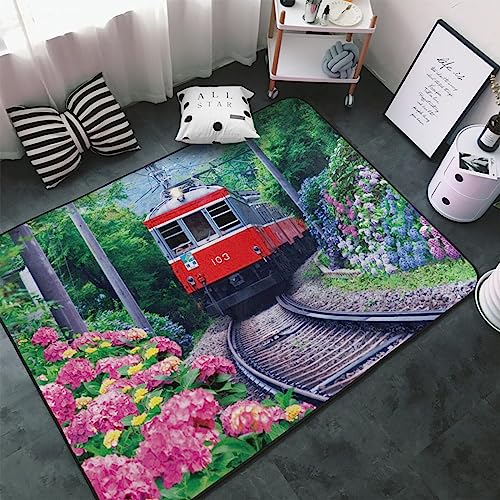 �J�[�y�b�g �������� �����o�R�S�� �d�� �����` ���O�}�b�g ���O �O�~ �ėp �h�_�j �R�� �h�� �h�L �ӂ���Ǝ�G�� ������� �D�����t�����l�����O ���g�[�Ή� �􂦂� ����~�ߕt �l�C �v���[���g 100 × 150 cm BHT4H149