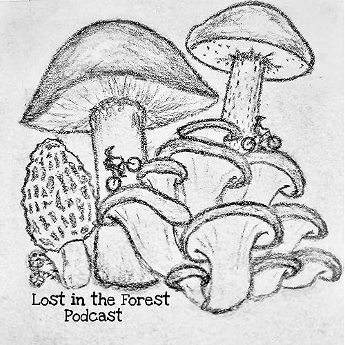 Lost In The Forest cover art