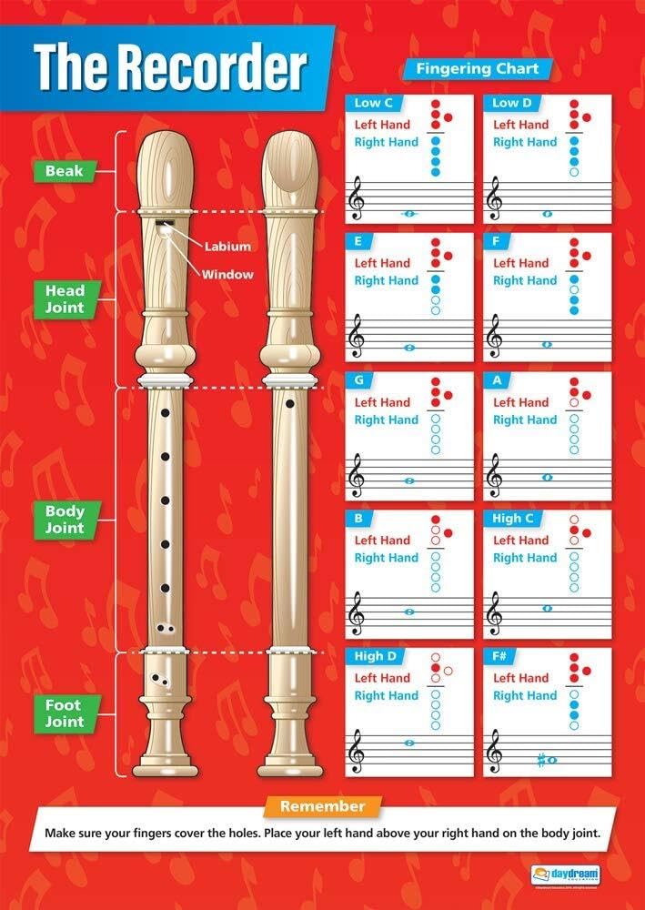 XGINERFEX Recorder Instrument Poster Set - Fingering Charts, Songs & Tips for Music Education, Classroom Wall Decor for Teachers(Framed,16x24inch(40x60cm))