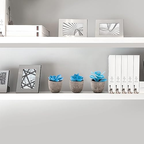 Miniatura 4 de Jelofly Paquete de 2 plantas artificiales suculentas, surtidas, decorativas, suculentas falsas, cactus falsos en maceta, macetas grises, juego de 5