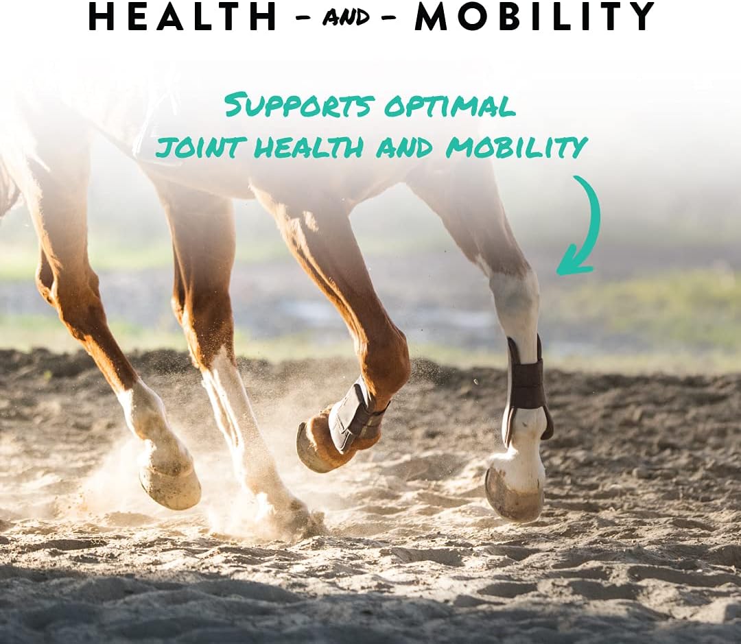 Manna Pro Sho-Flex | Advanced Joint Supplement for Horses | 5 Pounds : Horse Nutritional Supplements And Remedies : Pet Supplies