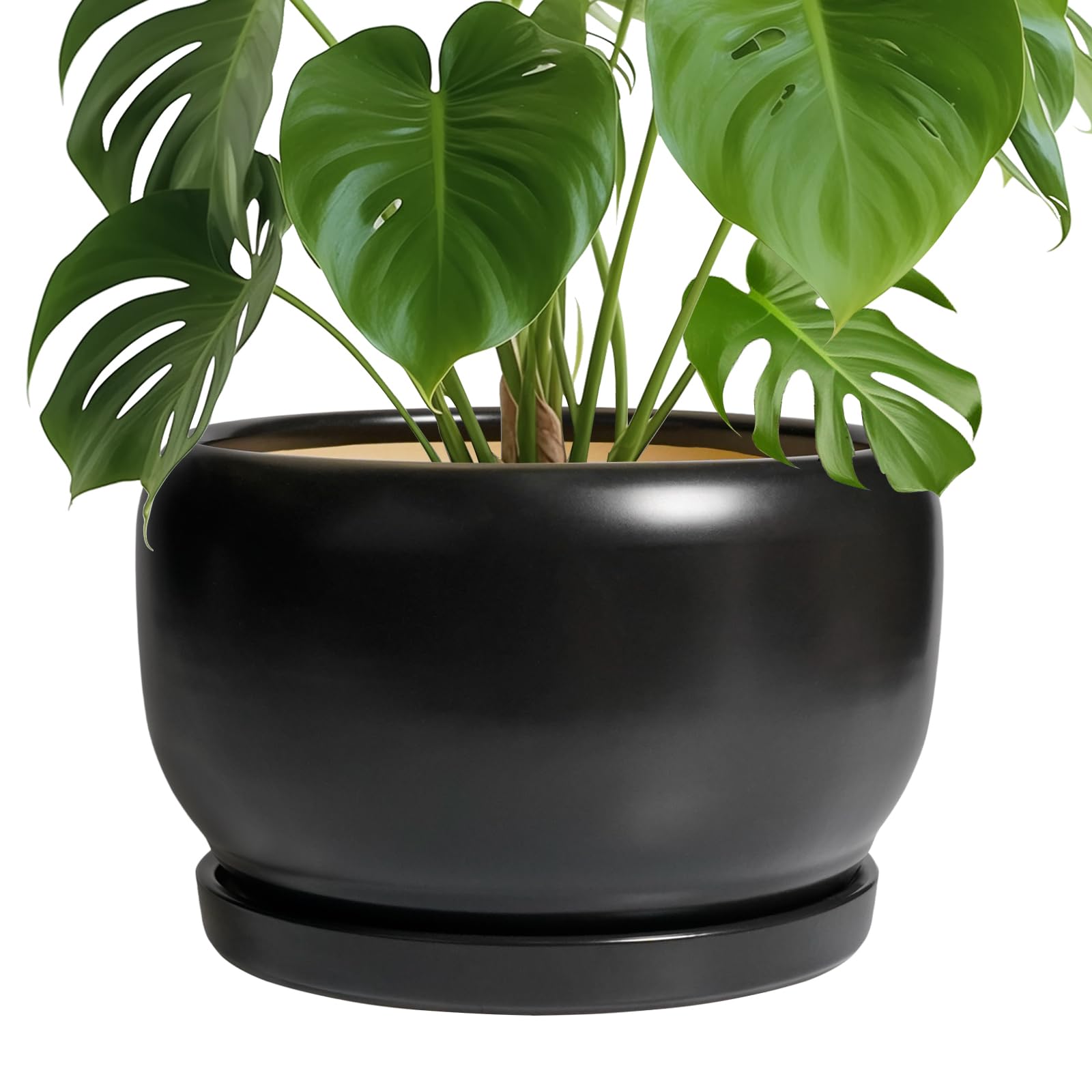 SQOWL Ceramic Flower Pot 10 Inch
