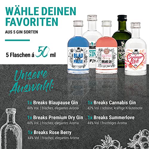 Breaks Gin Tasting Box 1 I Gin Geschenkset mit 5 verschiedenen Gin Sorten (à 50ml) + 5 verschiedene Tonic Water (à 200ml) I Gin Tonic Probierset mit exklusivem Gin – Handgemacht in Deutschland - Image 5