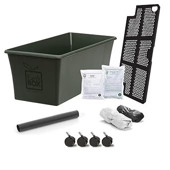 Novelty 80101.01 Earthbox Garden Kit, Green
