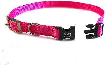 1 Quick Snap Double Buckle Replacement E Collar Dog Strap (Raspberry)