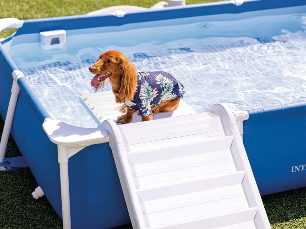 Intex 48404GN Rechteckige Hunde Rahmen Pool, Blau, 229 x 152 x 45,7 cm