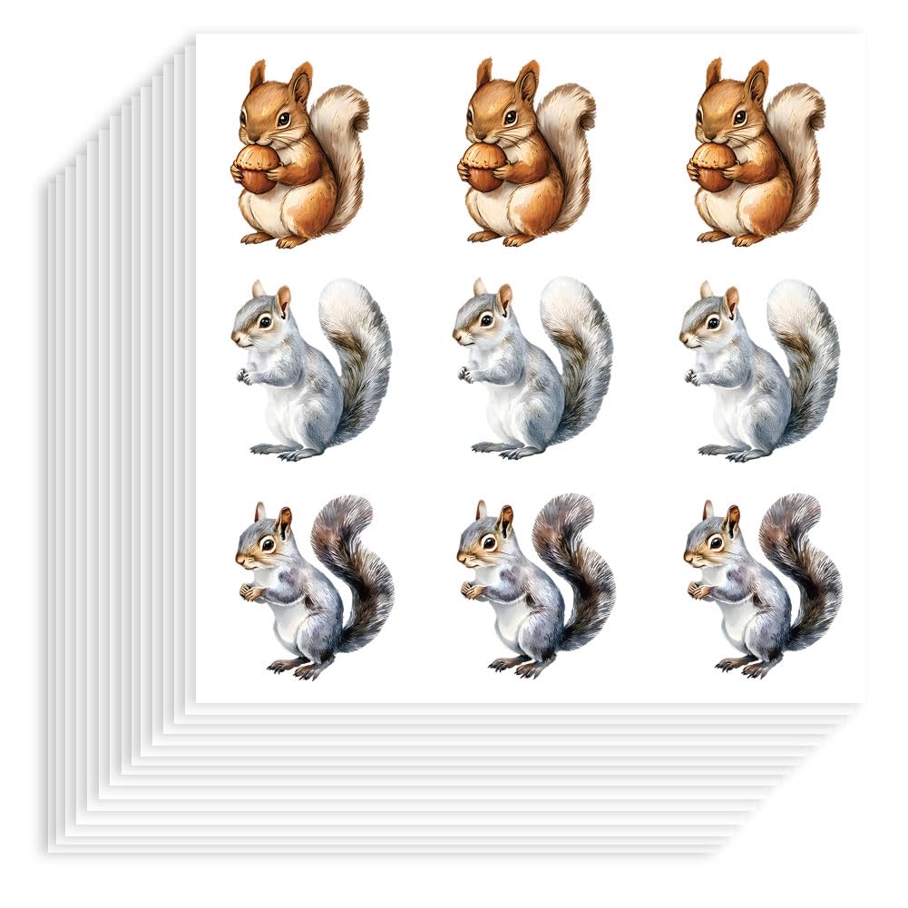 Hobbspring 180pcs Squirrel Stickers 9x9cm Self-Adhesive Paper Decorative Stickers Cute Animal Sticker for Scrapbook Calendar Journals Party Gift Bag Decor