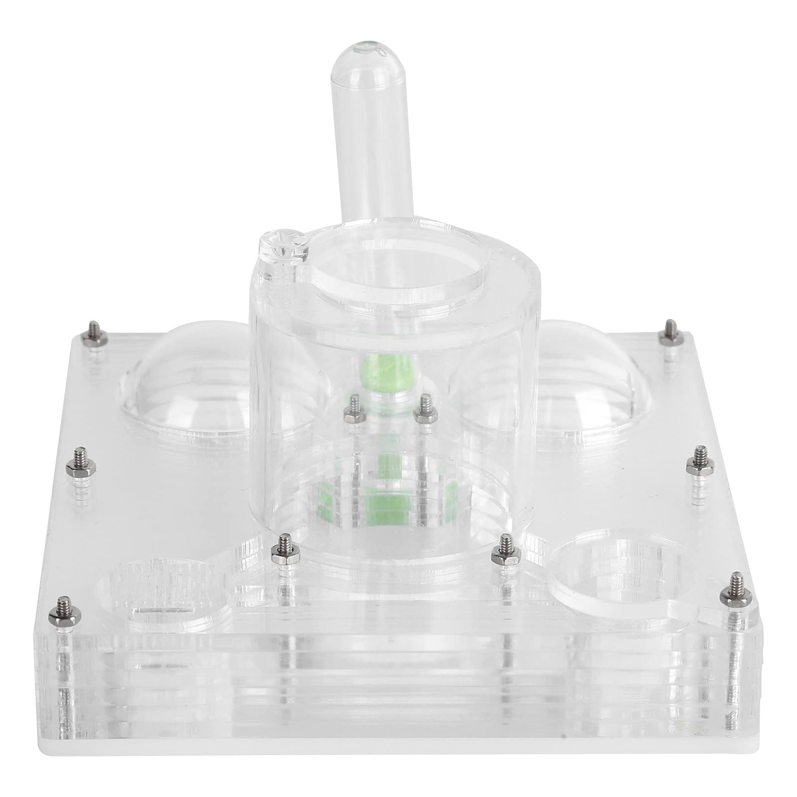 Pssopp Feeding House Moisturizing Acrylic Breeding Box, Absorbent Cotton Feeding Box for Teaching Aid