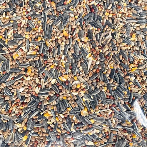 Mezcla de Semillas para Aves GardenersDream Deluxe - Mezcla Esencial de Trigo, maíz, Sorgo, Girasol y mijo - Nutrición óptima para Aves al Aire Libre.