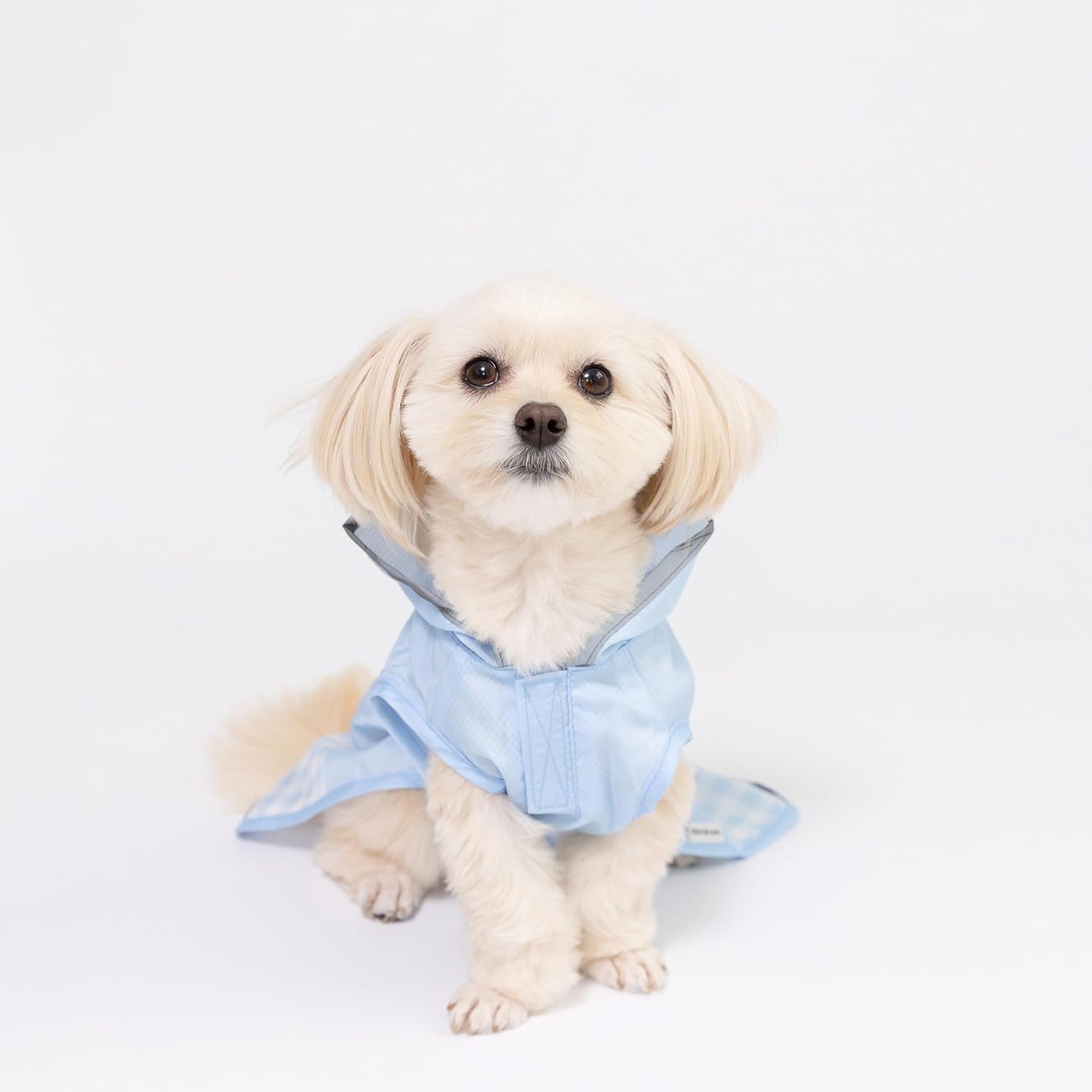 Miffy Dick Bruna Japan Light Blue Dog #3