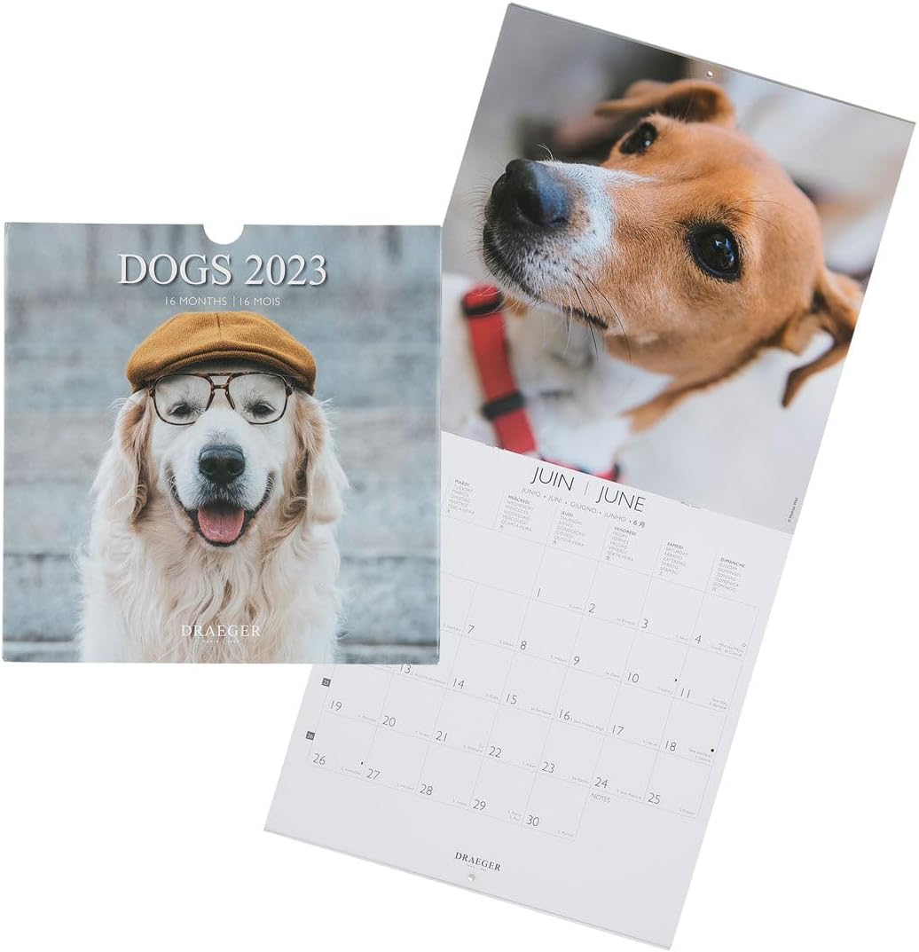 DRAEGER PARIS | Decorative Wall Calendar Horses 2023 to Hang 29 x 29 cm | 16 Months September 22 to Dec 23 | 7 Languages | Office, Kitchen, Home Calendar | Vegetable Inks | FSC® Certified Paper
