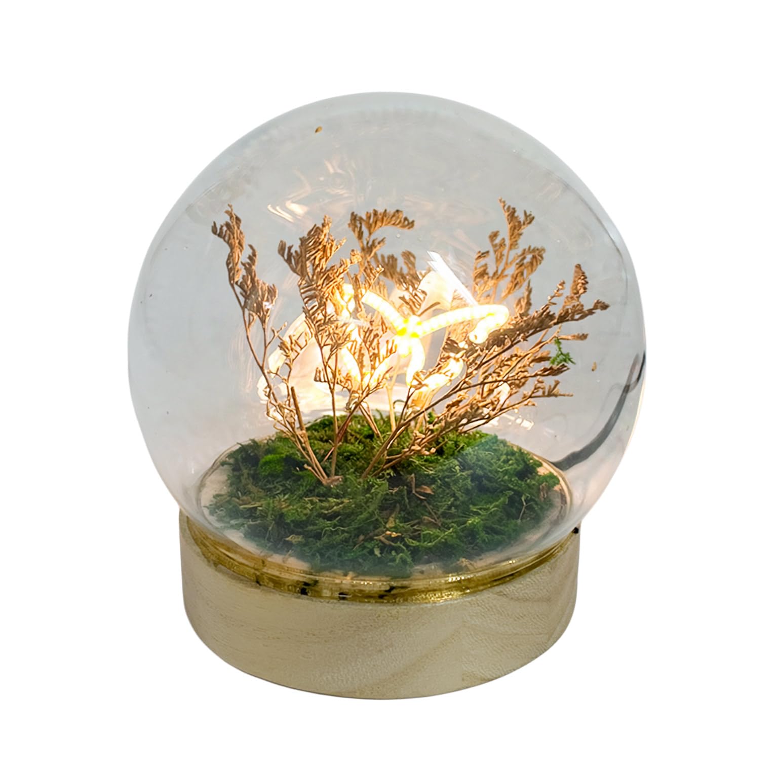 Gleneagles Butterfly LED Glass Lamp – Decorative Night Light in Glass Dome, USB Powered Table Lamp with Single, Double or Trio Butterflies Soft Warm Glow for Bedroom, Desk, or Living Room (Single)