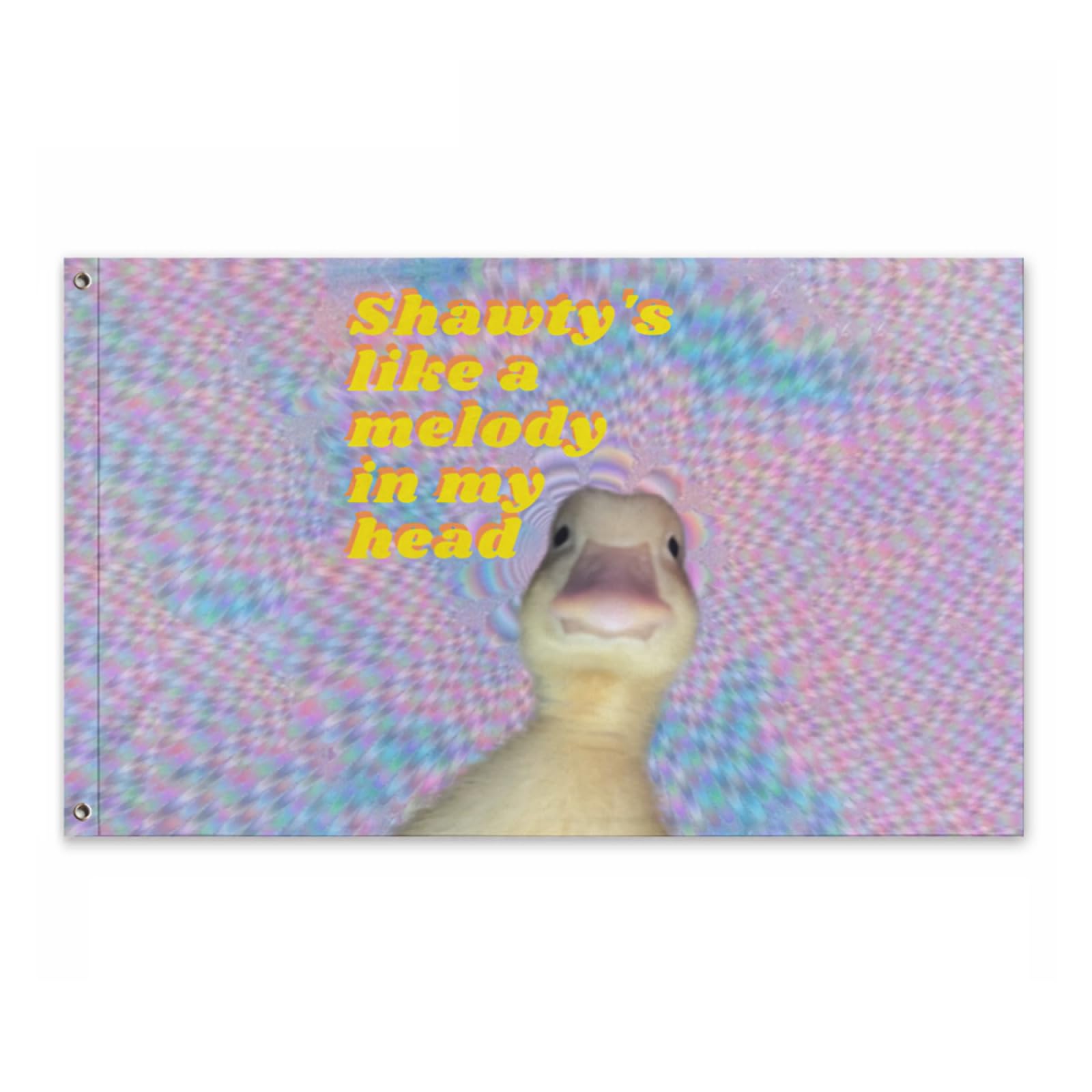 Conank Lustige Entenflagge – Meme-Wandteppich 15,7x91,4 Cm – Mit 2 Ösen Für Garten, Zimmer, Party