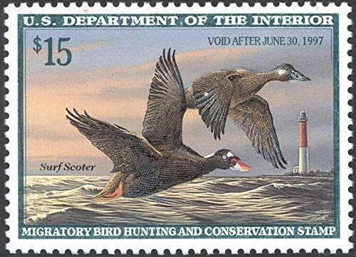 Scott RW63 $15.00 Surf Scoter Federal Duck Stamp Mint Very Fine. Never Been Hinged.