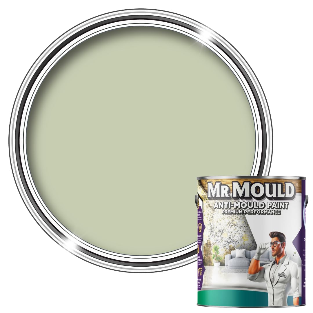 Mr MouldAnti-Mould PaintPremium Colour & Protection For Interior Walls & CeilingsSage Green5L from B&Q
