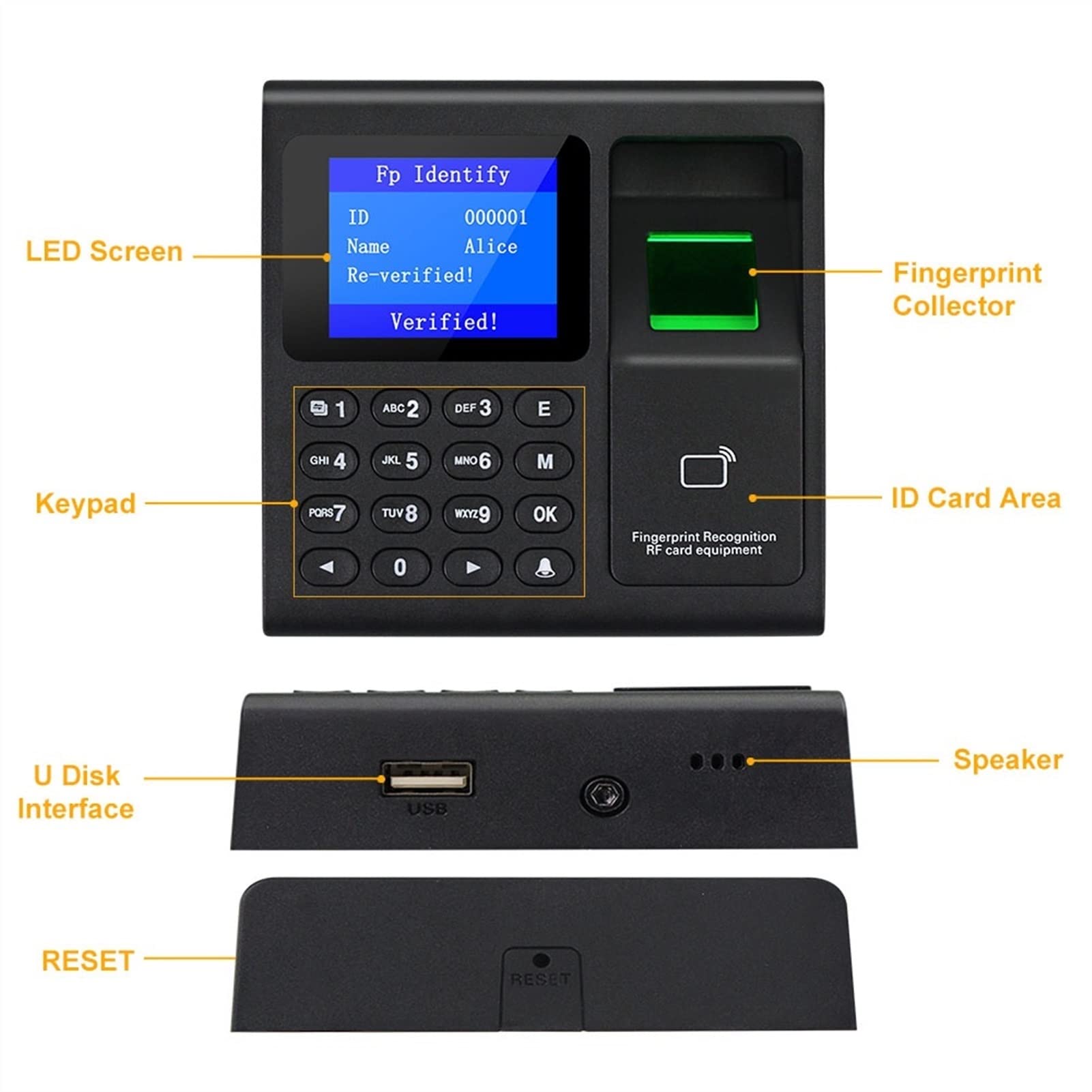 Maszyna obecności, Maszyna Intelligent Fingerprint Frekwencja Frekwencja biometryczny linii papilarnych Time Machine Zegar Recorder Device urzędnik,Elektronika biurowa