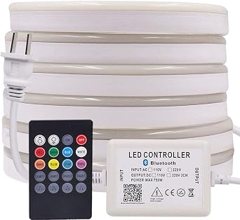 LED Neon Light, Bluetooth Remote Control LED Rope Light, AC 110-130V RGB Dimmable Waterproof 5050 60 LED/m Light Strip for Commercial Building, Outdoor Lighting9.9ft/3m