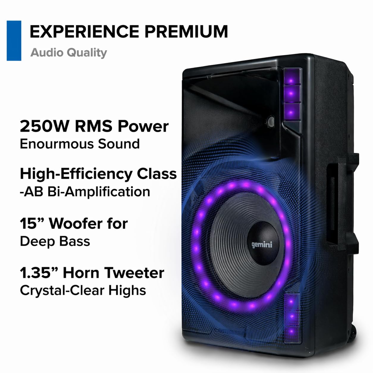 Amazon.com: Gemini Sound GSP-L5500PK 15