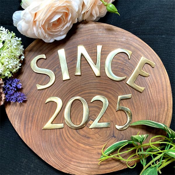 Amazon.co.jp: 真鍮 ゴールド SINCE2025 セット 大文字 真鍮 レター