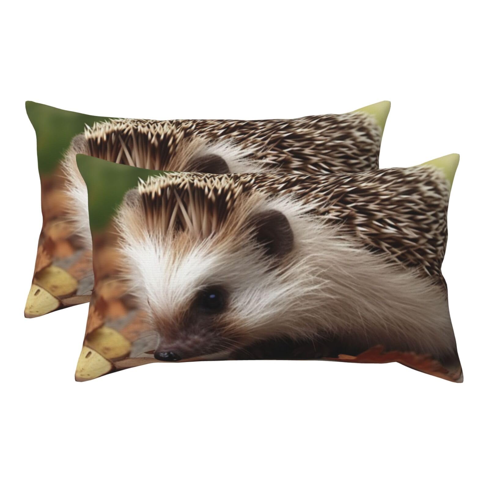 2 Pack King Size Pillow Cases with Envelope Closure Hedgehog Pillow Cover 20x36 Inches Soft Breathable Pillowcase for Hair and Skin, Sleeping Gift