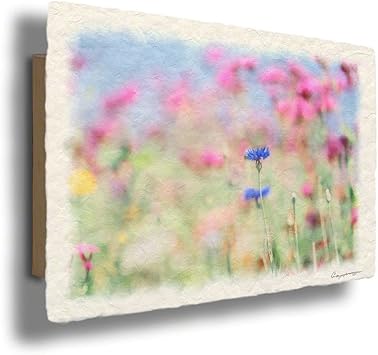 公式通販 和モダン 早春の花風景 セール実施中 Kingscages Com