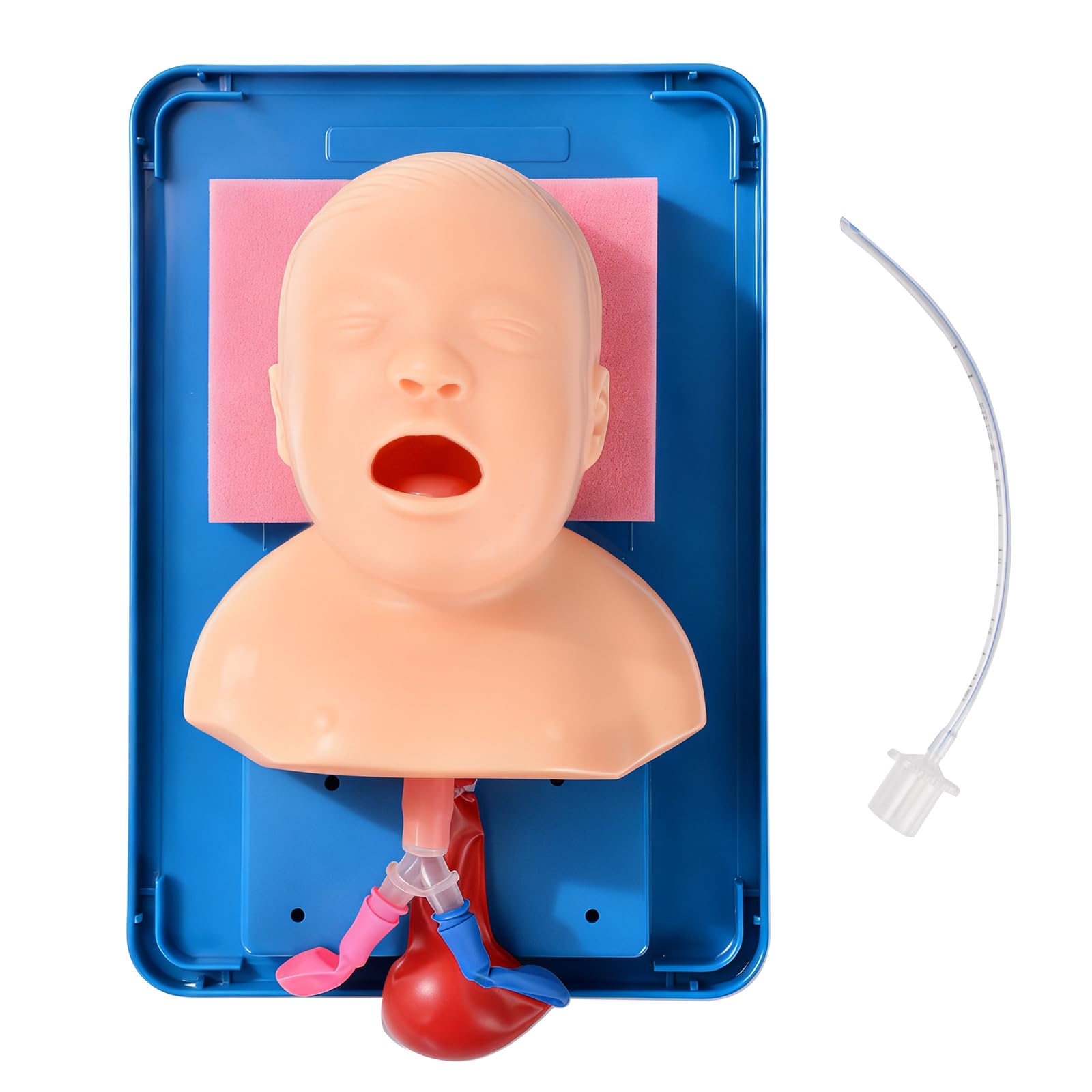 Ultrassist Infant Intubation Trainer, Pediatric Intubation Manikin, Tracheal Child &Infant Airway Management Trainer for Intubation Training