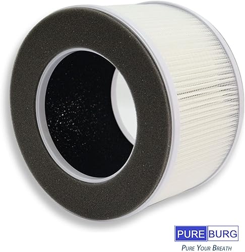 Miniatura 3 de PUREBURG Filtro de repuesto AP10-F3 compatible con purificador de aire Greenote AP10, paquete de 2 filtros H13 HEPA de 4 etapas de carbón activado 2