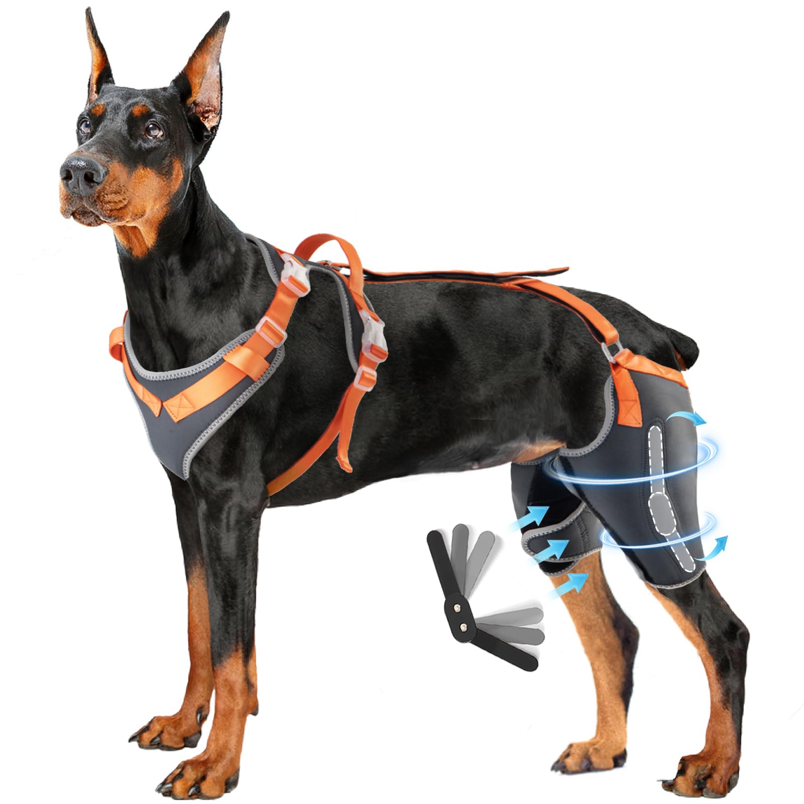 CHAMIN/RISURRY Dog Knee Brace Support for Back Legs with Metal Splint Hinge,Support Brace for ACL/CCL, Cruciate Ligament Injury?Osteoarthritis, Luxating Patella, Muscle Sore,et(Grey,XL)